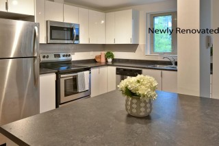 Property #209364