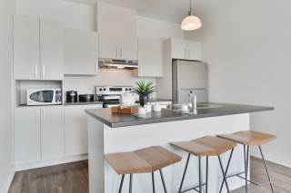 Property #221101