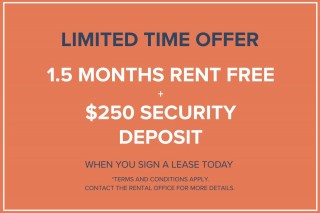 Property #180081