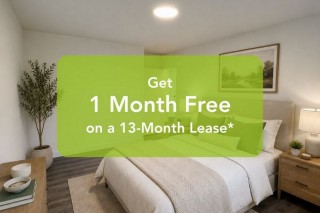Property #225957
