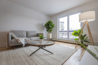 Property #220516