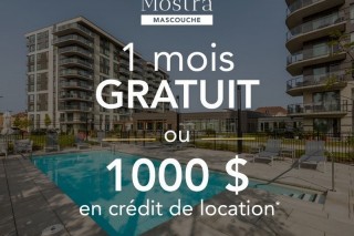 Property #221413