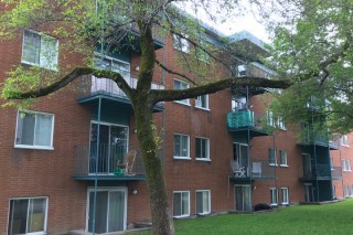 Property #217926