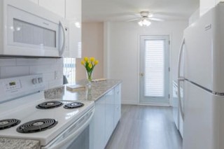 Property #229041