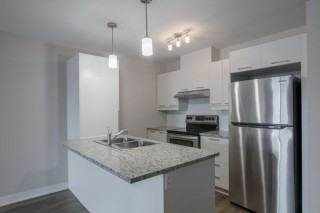 Property #229328