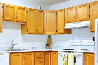 Property #181267