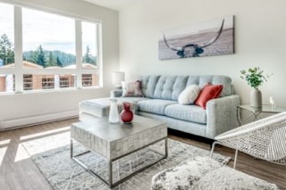 Property #229203
