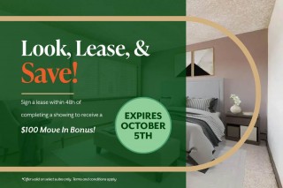 Property #230204