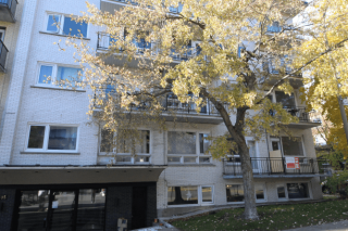 Property #232397