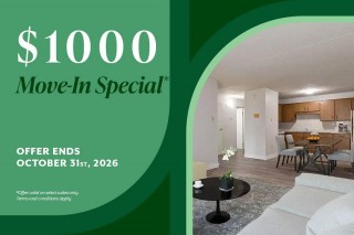 Property #234810