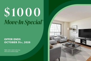 Property #235688