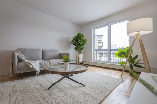 Property #223374