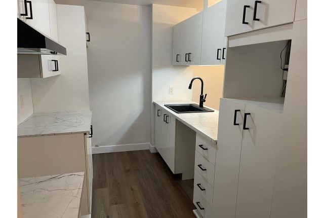 Condo 3 1/2 Ville de Québec 1 300 $/mois. Appartement à louer Ville de Québec