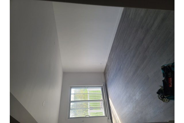 Mercier and Nouveau-Rosemont Plex 3 b. $2,400/month. Apartment for rent in Mercier and Nouveau-Rosemont