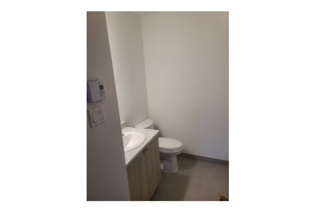 Mercier and Nouveau-Rosemont Plex 3 b. $2,400/month. Apartment for rent in Mercier and Nouveau-Rosemont