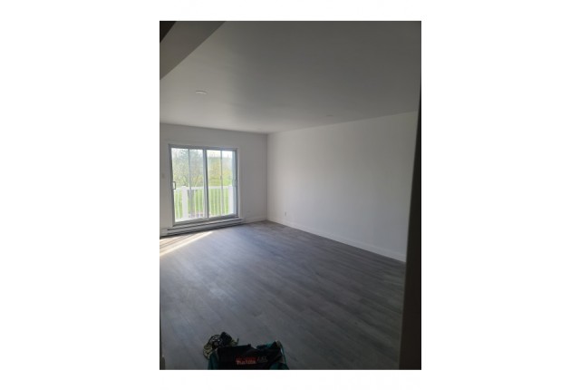 Mercier and Nouveau-Rosemont Plex 3 b. $2,400/month. Apartment for rent in Mercier and Nouveau-Rosemont