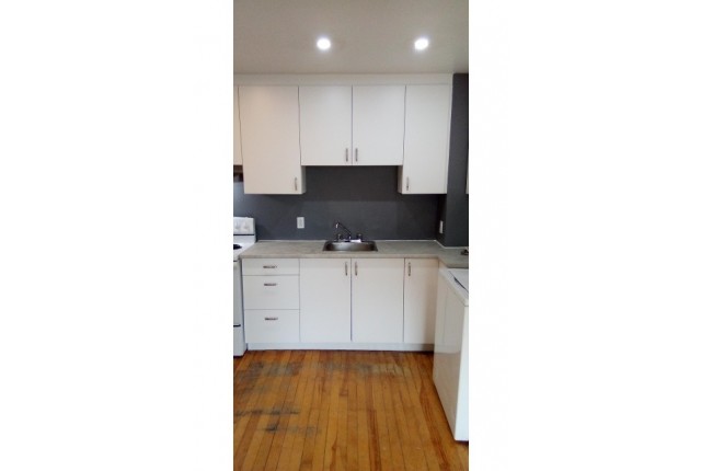 Plex 6 1/2 Verdun 1 595 $/mois. Appartement à louer Verdun