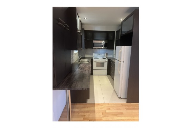 Ville-Emard and Cote-St-Paul Condo 1 b. $1,450/month. Apartment for rent in Ville-Emard and Cote-St-Paul