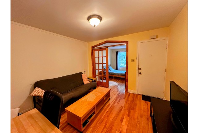 Plex 3 1/2 Hochelaga-Maisonneuve 1 335 $/mois. Appartement à louer Hochelaga-Maisonneuve