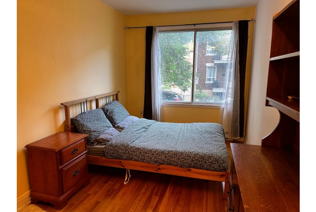 Plex 3 1/2 Hochelaga-Maisonneuve 1 335 $/mois. Appartement à louer Hochelaga-Maisonneuve