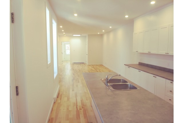 Plex 5 1/2 Hochelaga-Maisonneuve 1 910 $/mois. Appartement à louer Hochelaga-Maisonneuve