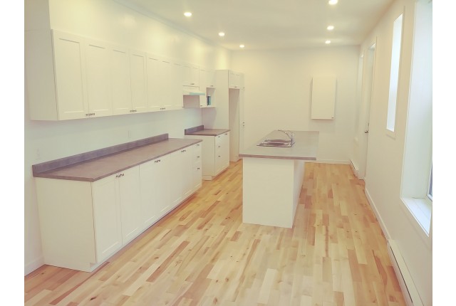 Plex 5 1/2 Hochelaga-Maisonneuve 1 910 $/mois. Appartement à louer Hochelaga-Maisonneuve