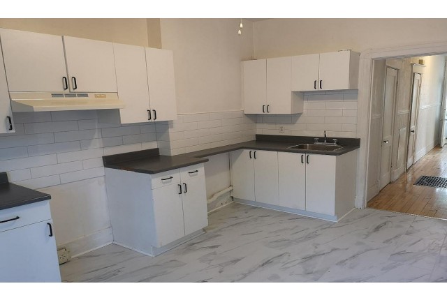 Plex 4 1/2 Verdun 1 750 $/mois. Appartement à louer Verdun