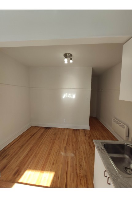 Plex 3 1/2 Rosemont, Petite-Patrie 1 295 $/mois. Appartement à louer Rosemont, Petite-Patrie