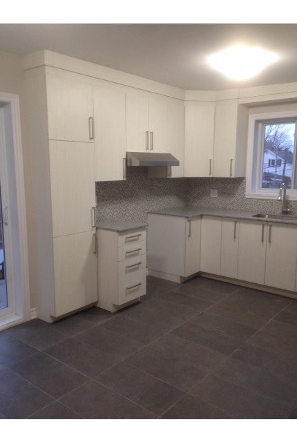 Plex 4 1/2 Ahuntsic et Cartierville 1 650 $/mois. Appartement à louer Ahuntsic et Cartierville