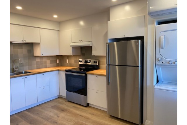 Mercier and Nouveau-Rosemont Plex 2 b. $1,800/month. Apartment for rent in Mercier and Nouveau-Rosemont