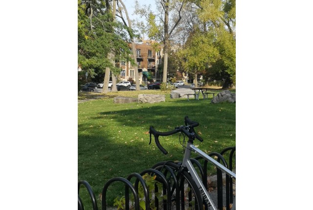 Appartement Ch. simple Côte-des-Neiges 750 $/mois. Appartement à louer Côte-des-Neiges