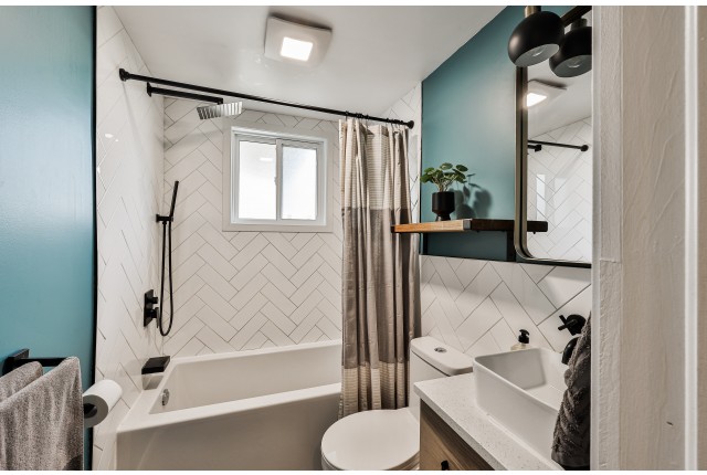 Mercier and Nouveau-Rosemont Plex 2 b. $1,995/month. Apartment for rent in Mercier and Nouveau-Rosemont