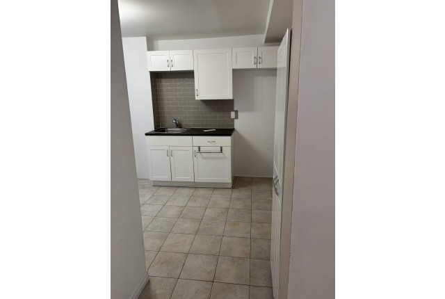 Plex 4 1/2 Nouveau-Rosemont et Mercier 1 200 $/mois. Appartement à louer Nouveau-Rosemont et Mercier