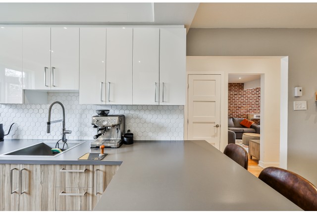 Mercier and Nouveau-Rosemont Plex 2 b. $1,995/month. Apartment for rent in Mercier and Nouveau-Rosemont