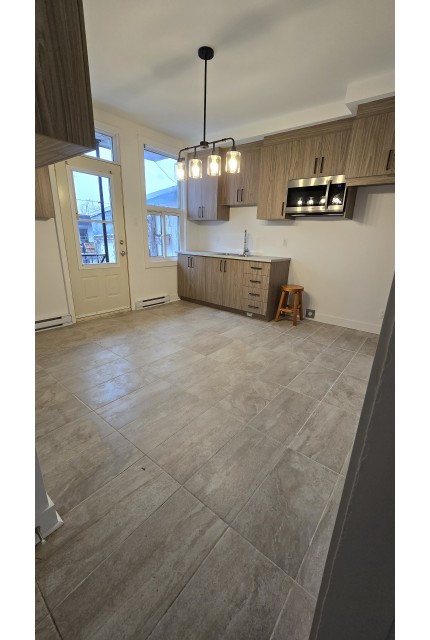 Plex 3 1/2 Hochelaga-Maisonneuve 1 485 $/mois. Appartement à louer Hochelaga-Maisonneuve