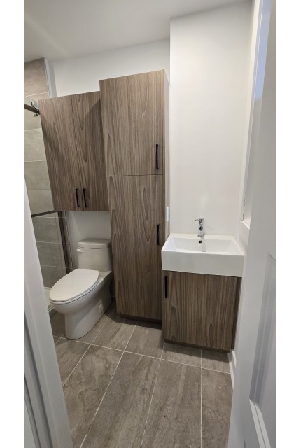 Plex 3 1/2 Hochelaga-Maisonneuve 1 485 $/mois. Appartement à louer Hochelaga-Maisonneuve