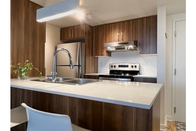 Ahuntsic and Cartierville Condo Studio $1,500/month. Apartment for rent in Ahuntsic and Cartierville