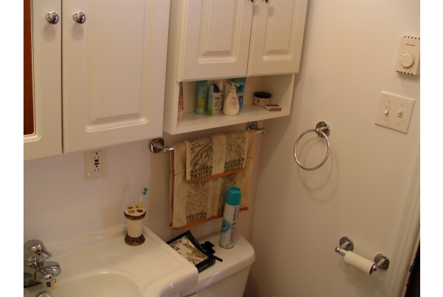 Rosemont,  Petite-Patrie Plex 1 b. $1,250/month. Apartment for rent in Rosemont,  Petite-Patrie
