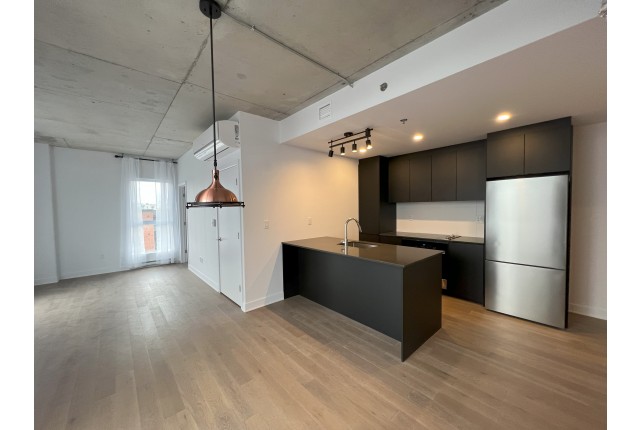 Condo 4 1/2 Quartier latin et centre-sud 2 150 $/mois. Appartement à louer Quartier latin et centre-sud