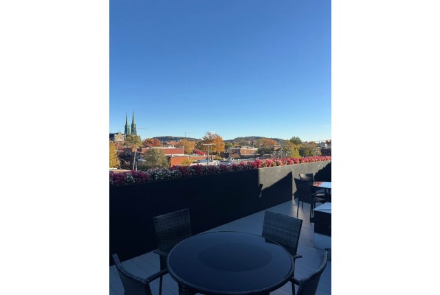 Appartement 4 1/2 Rosemont, Petite-Patrie 2 450 $/mois. Appartement à louer Rosemont, Petite-Patrie