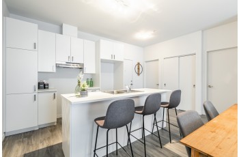 Property #223528
